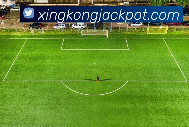 星空体育平台生态图