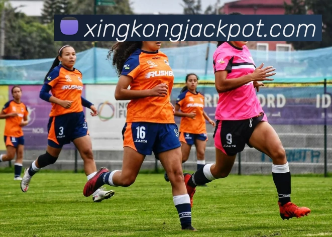 星空体育APP 封面图